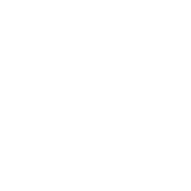 icon safetyhelmet