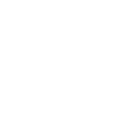 icon star